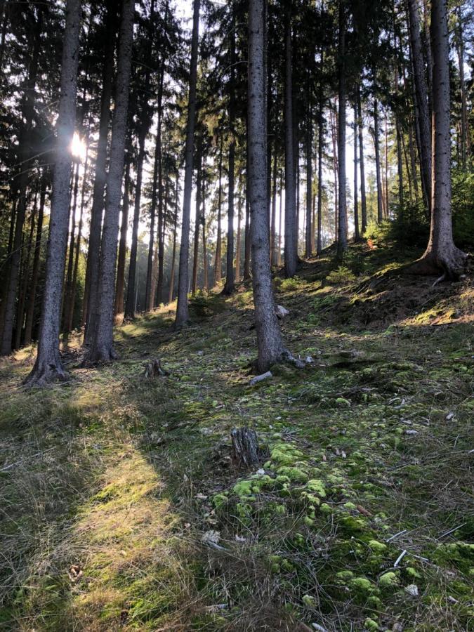 Chata Prachov**** Jičín Exteriör bild